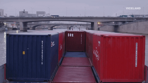 VICELANDFRANCE giphyupload GIF