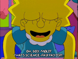 lisa simpson science experiment GIF