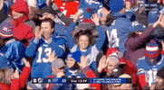 Nfl Playoffs Football GIF by NFL