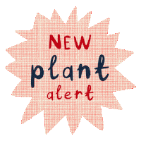 Plant Houseplant Sticker