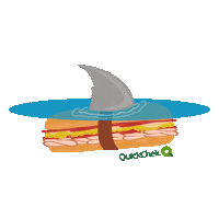 Shark Week Summer Sticker by QuickChek