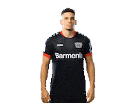 Bayer 04 Clapping Sticker by Bayer 04 Leverkusen