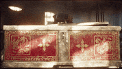 GIF by Xbox