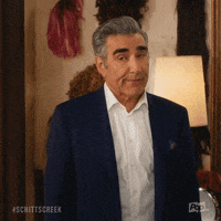Pop Tv Johnny Rose GIF by Schitt's Creek