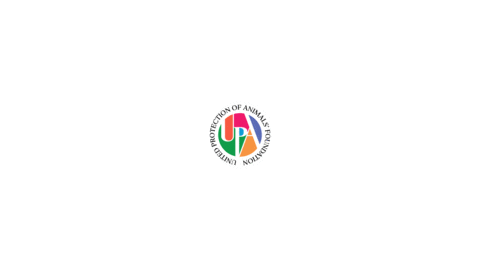 Upa Sticker by upafoundation