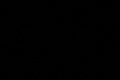 michelklinkfotografie giphygifmaker michelklinkfotografie GIF