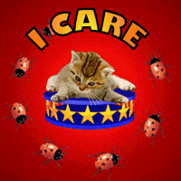 I Love You GIF