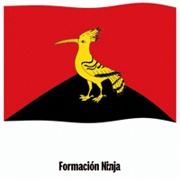 Flag Spain GIF by Formación Ninja
