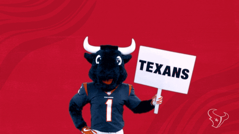 Get Up Nfl GIF by Houston Texans