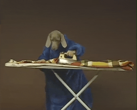 William Wegman Chores GIF by Jason Clarke