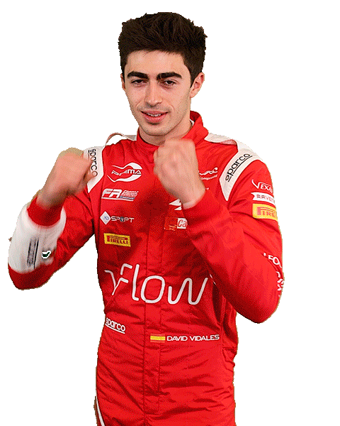 David Alpine Sticker by Prema Team