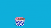 GIF by Grido