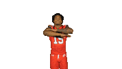 Utah Utes Sticker by Utah Football