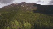 magic music 40 years in the making GIF by The Orchard Films
