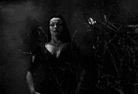 plan 9 from outer space GIF by Maudit