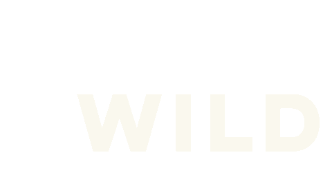 Go Wild Sticker by Astrid Wild