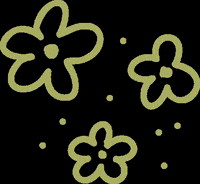 anavicenz flower flowers lovely flores GIF