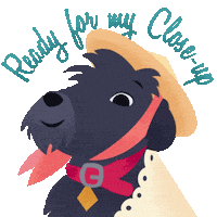 Lady And The Tramp Dog Sticker by Walt Disney Studios