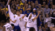 golden state warriors GIF by NBA