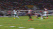ze roberto GIF by SE Palmeiras
