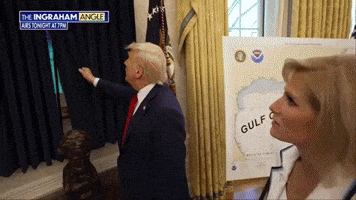 Trump House GIF by snek