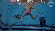 Arc Olympian GIF by All-Round Champion