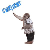Fun Monkey Sticker
