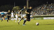 Usl Championship Soccer GIF by Charleston Battery