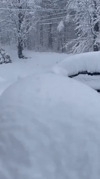Heavy Snow Accumulates in Massachusetts as Nor'easter Moves Across the Northeast
