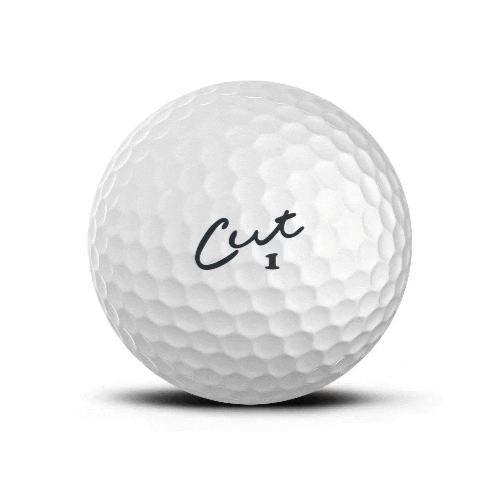 cutgolf giphygifmaker golf golfing golfer GIF