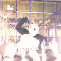 Samurai Pizza Cats GIF