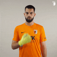 Football Soccer GIF by FC Augsburg 1907