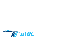 HSBiel handball handballschweiz hsbiel Sticker