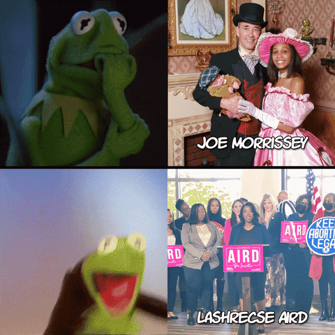 Kermit The Frog Virginia GIF