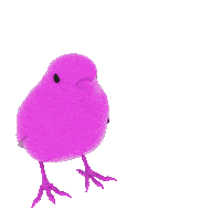 Brrd Sticker