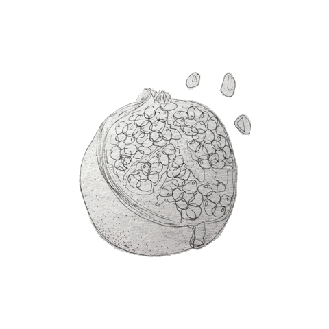 fanestra giphyupload illustration pomegranate granatapfel Sticker