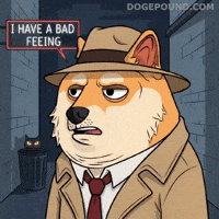 Scared Oh No GIF by Doge Pound