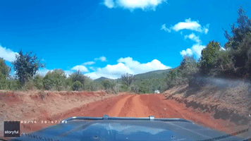 Americans in Kenya Escape Machete-Wielding Men Charging Vehicle
