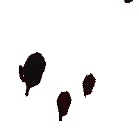 Fka Twigs Sticker by Nordisk Film Finland