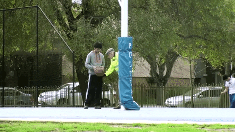 misinformation_study giphygifmaker GIF