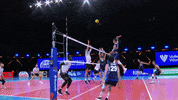 Shall Not Pass Canadian GIF by Volleyball World