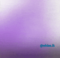 Hit Dbs GIF