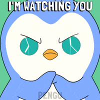 Looking All Eyes On You GIF by Pudgy Penguins