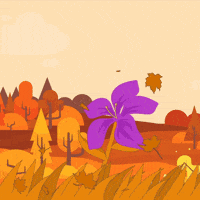 Flower Fall GIF