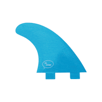 Surf Shark Sticker by Ho Stevie!