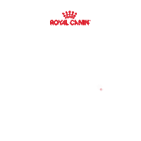 Rcbrasil Sticker by Royal Canin Brasil