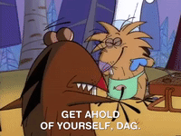 nickrewind nicksplat angry beavers GIF