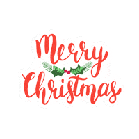 Merry Christmas Party Sticker