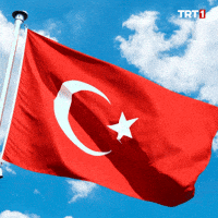 Turkey Turkish GIF by TRT