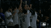 celebrates major league baseball GIF by MLB